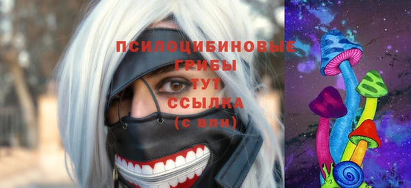 соль ск Алзамай