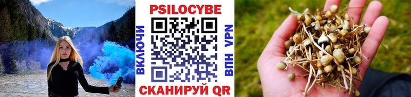 где купить   Мегион  Галлюциногенные грибы Psilocybe 