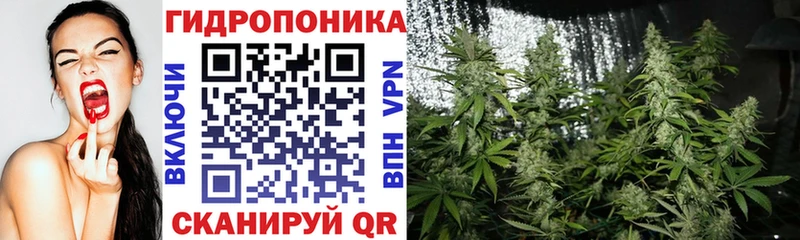Марихуана ГИДРОПОН  цены наркотик  Мегион 